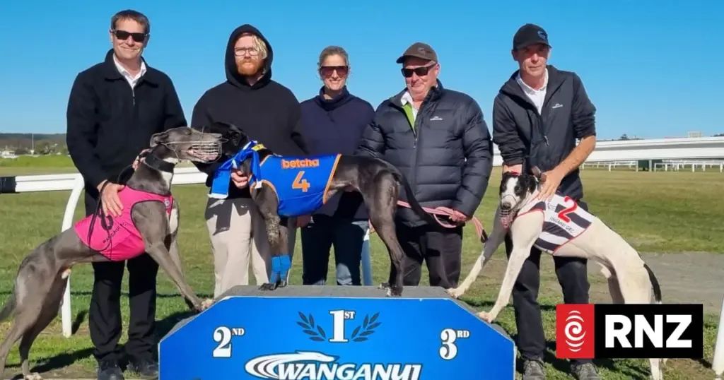 Why farewelling our greyhound friends just doesn’t seem right – Michael Guerin - NZ Herald