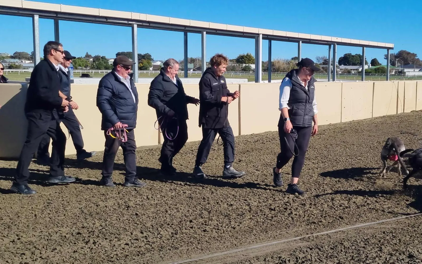 Trainers retrieve their dogs after a race at the Hatrick Raceway in Whanganui.