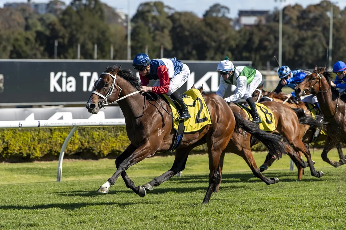 Phantom Major (AUS)